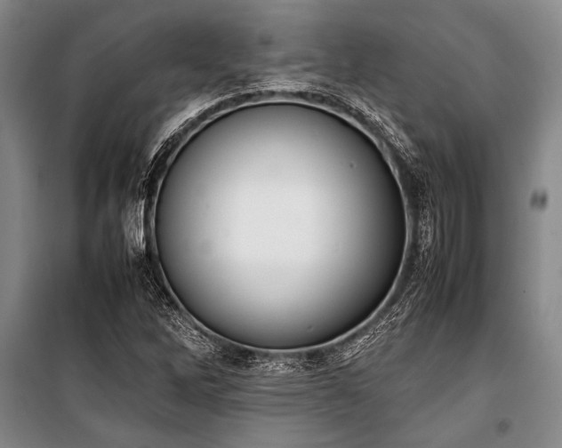 X0000101221262200806271439