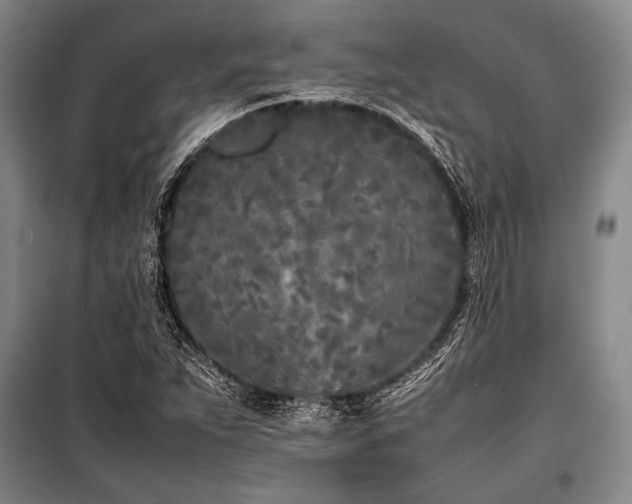 X0000101221263200806271439