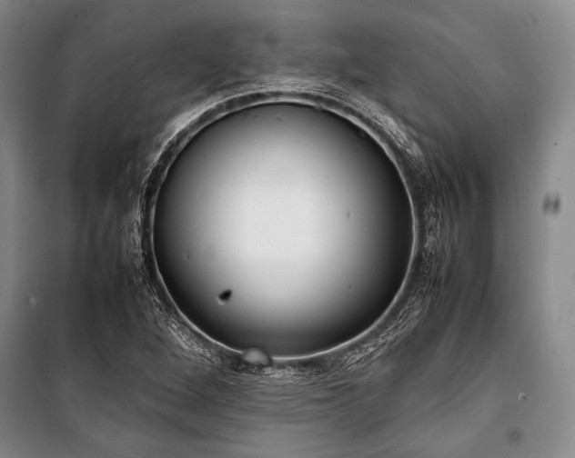 X0000101221264200806271439