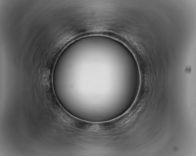 X0000101221265200806271439