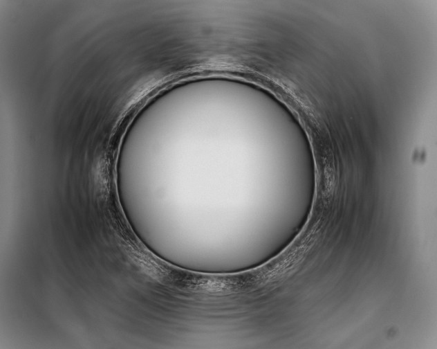 X0000101221266200806271439