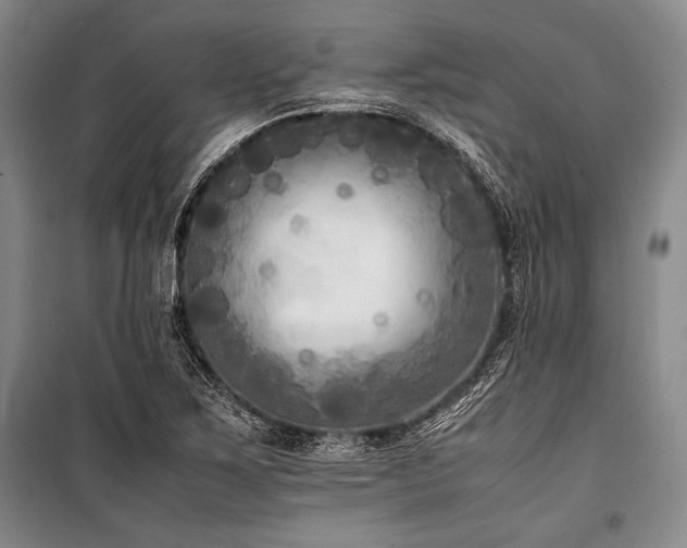 X0000101221267200806271439