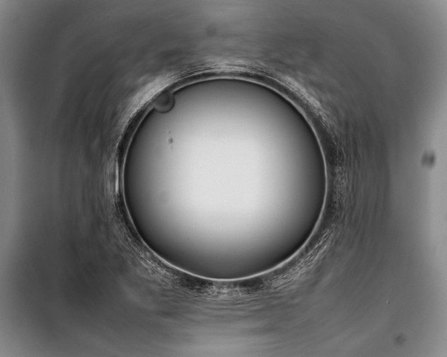 X0000101221269200806271439