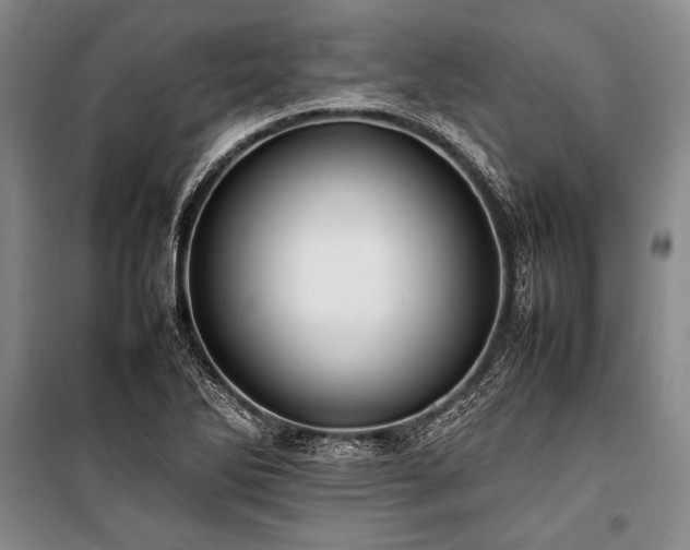 X0000101221270200806271439