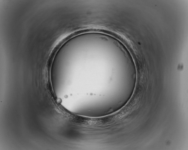 X0000101221271200806271439