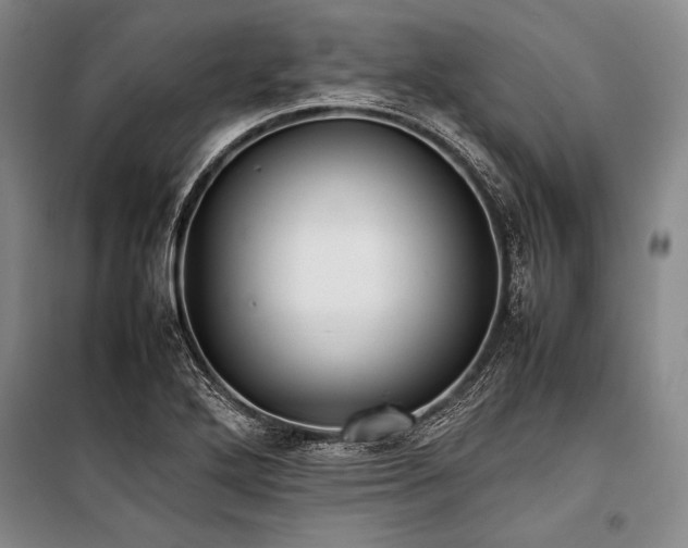 X0000101221272200806271439