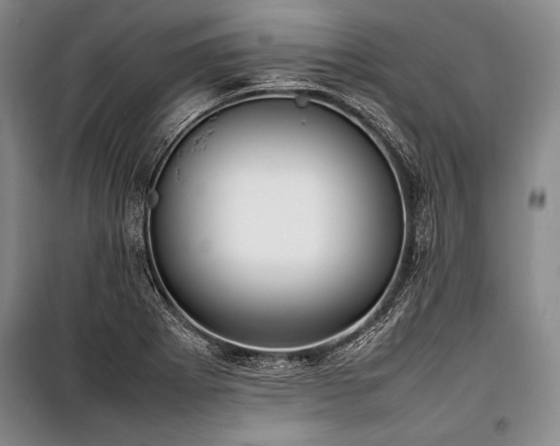 X0000101221273200806271439