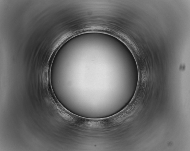 X0000101221274200806271439