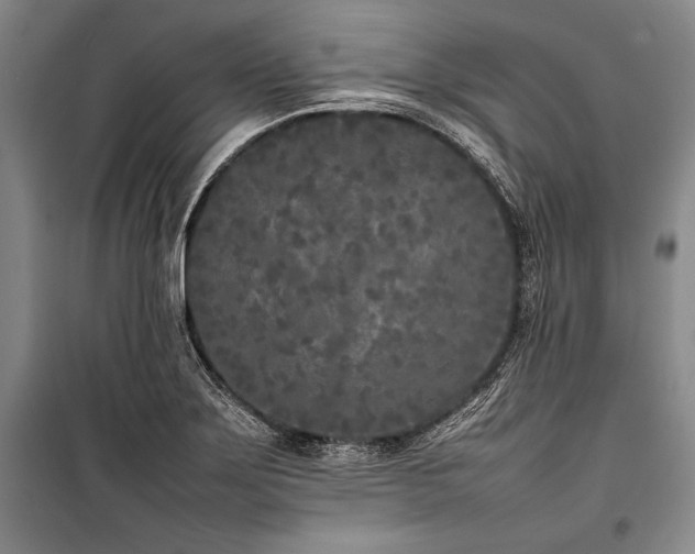 X0000101221275200806271438