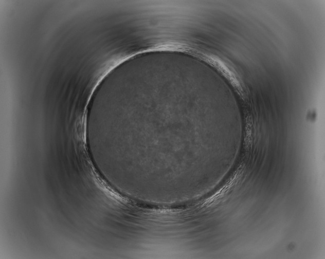 X0000101221276200806271438