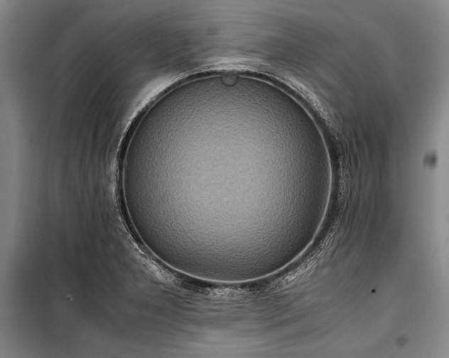 X0000101221277200806271438