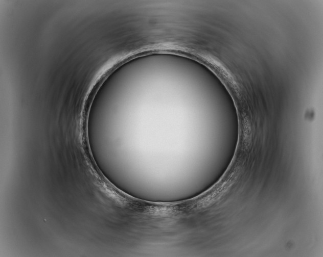 X0000101221278200806271438