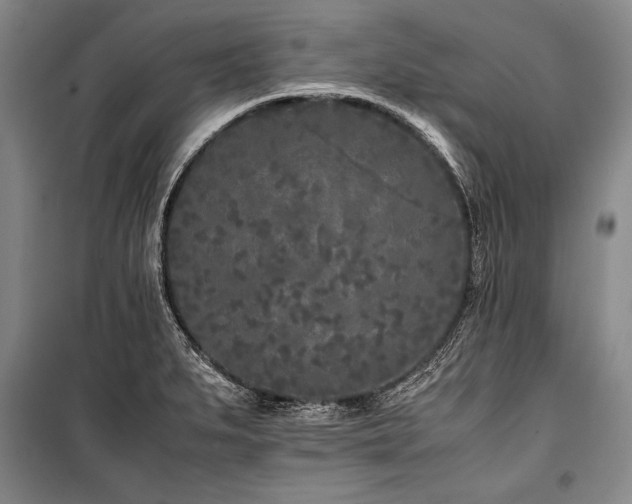 X0000101221279200806271438