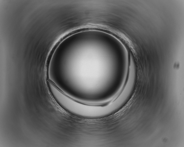 X0000101221280200806271438