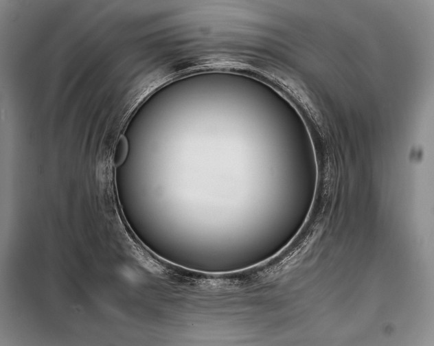 X0000101221281200806271438