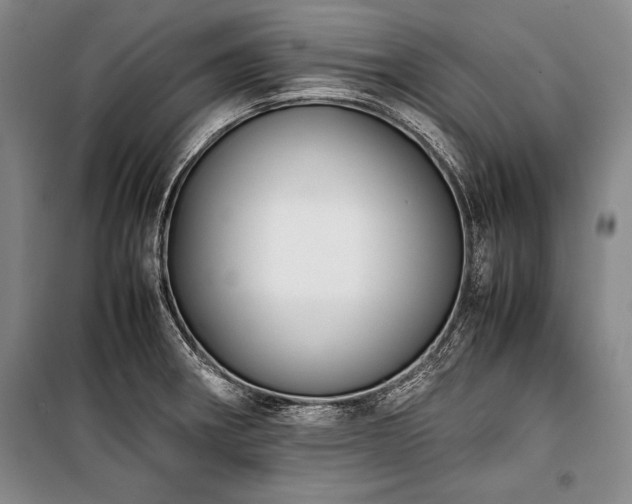 X0000101221282200806271438