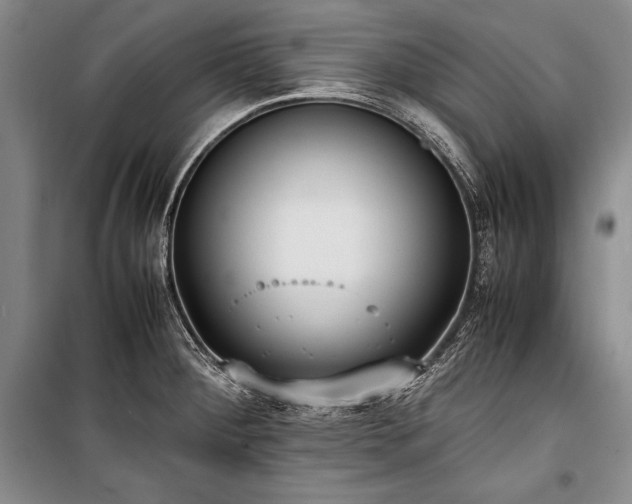 X0000101221284200806271438