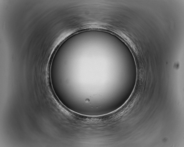 X0000101221285200806271438