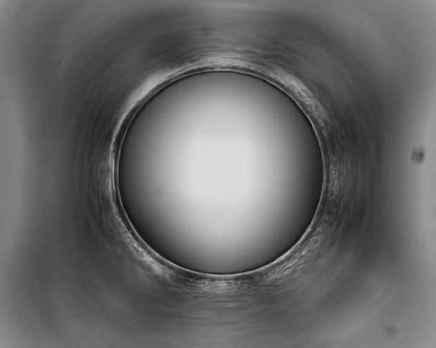 X0000101221286200806271438