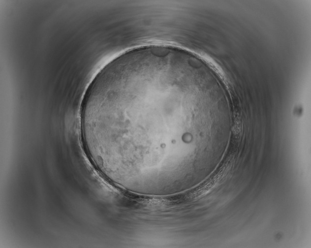 X0000101221287200806271438