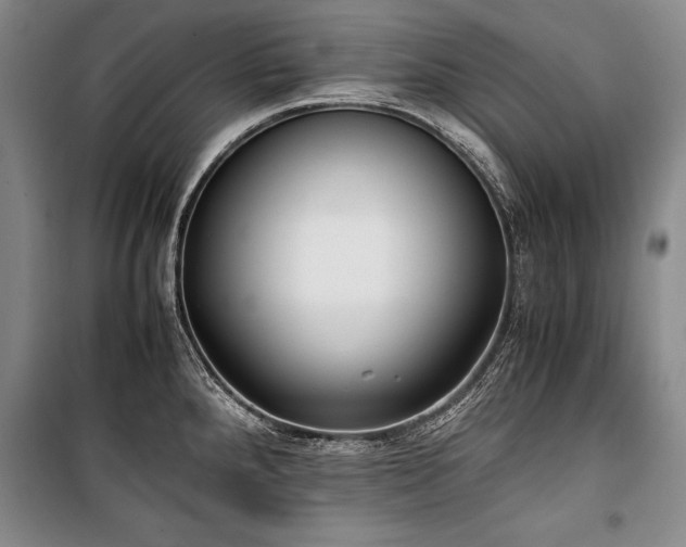 X0000101221288200806271438