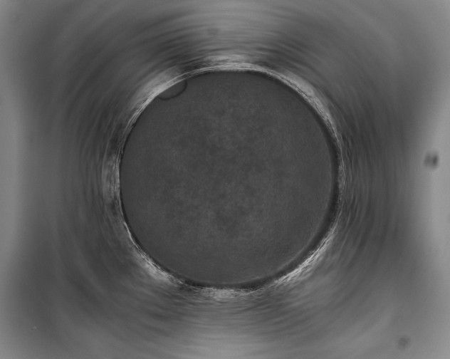 X0000101221289200806271438
