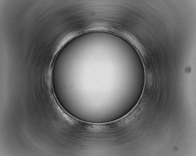 X0000101221290200806271438