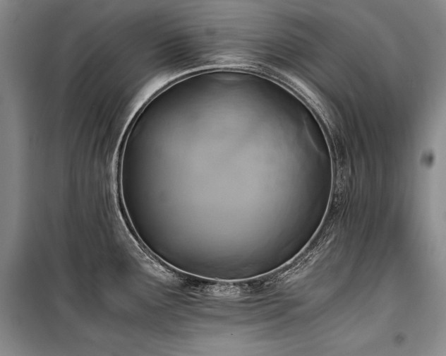 X0000101221291200806271438