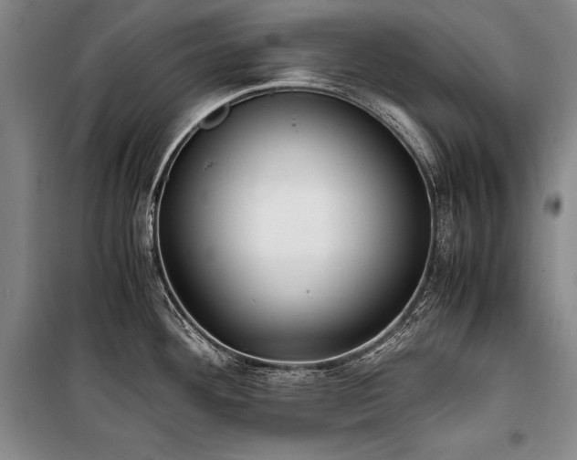 X0000101221292200806271438