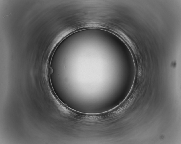 X0000101221293200806271438
