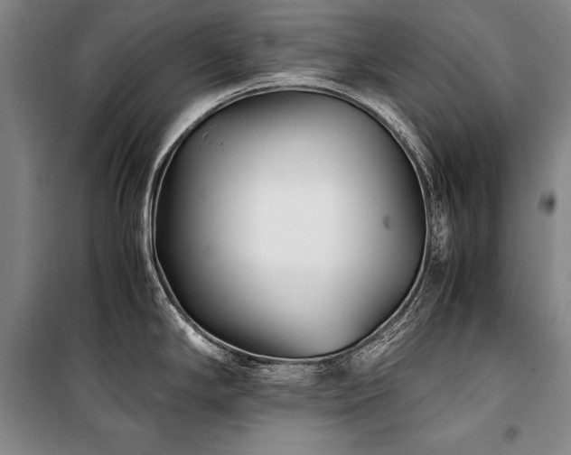 X0000101221294200806271438