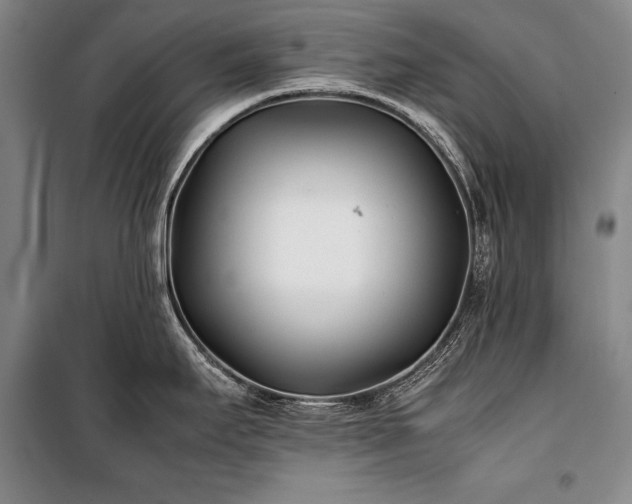 X0000101221295200806271438