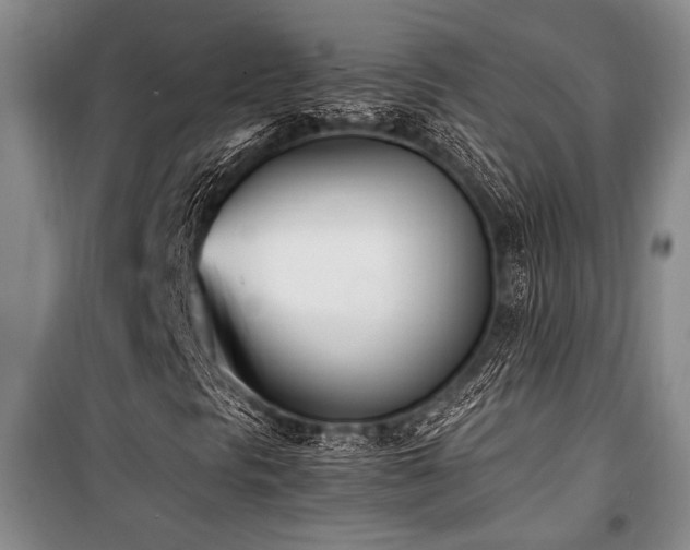 X0000101221297200806271438