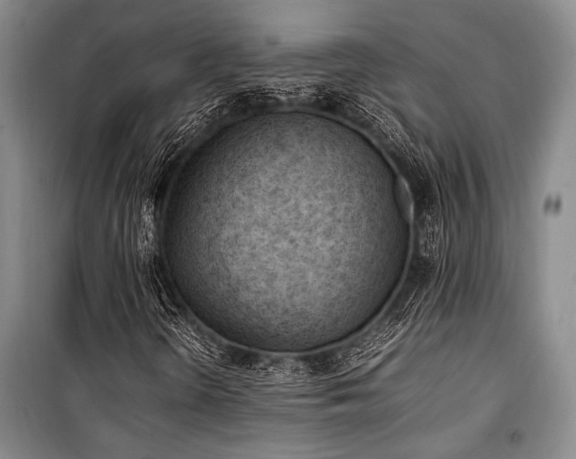 X0000101221298200806271438