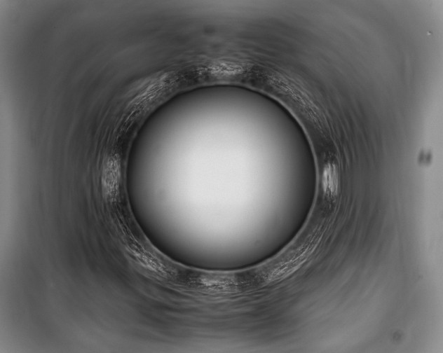 X0000101221299200806271438