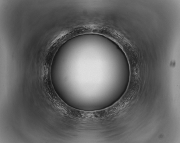 X0000101221302200806271438