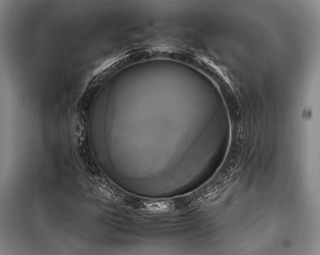 X0000101221303200806271438