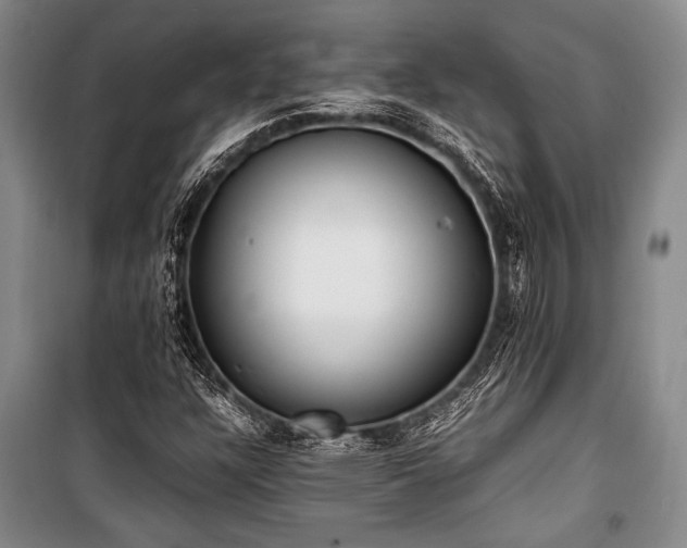 X0000101221304200806271438