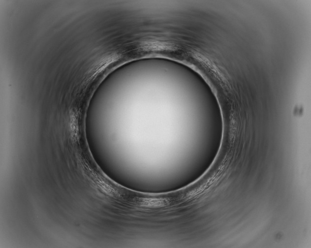 X0000101221305200806271438