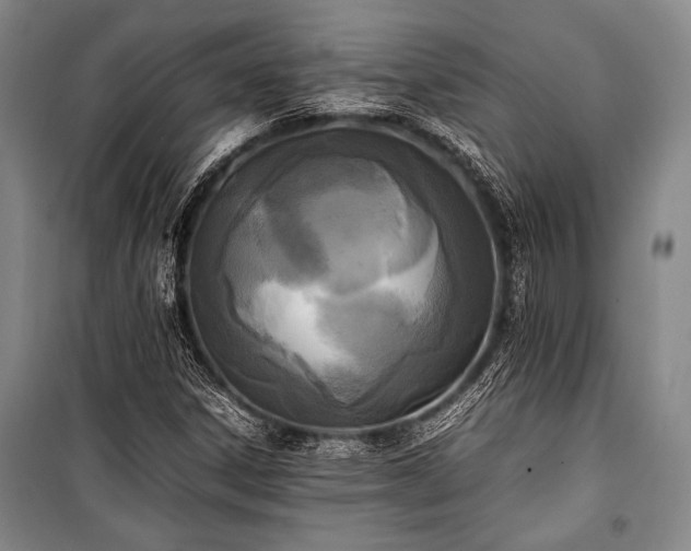 X0000101221306200806271438