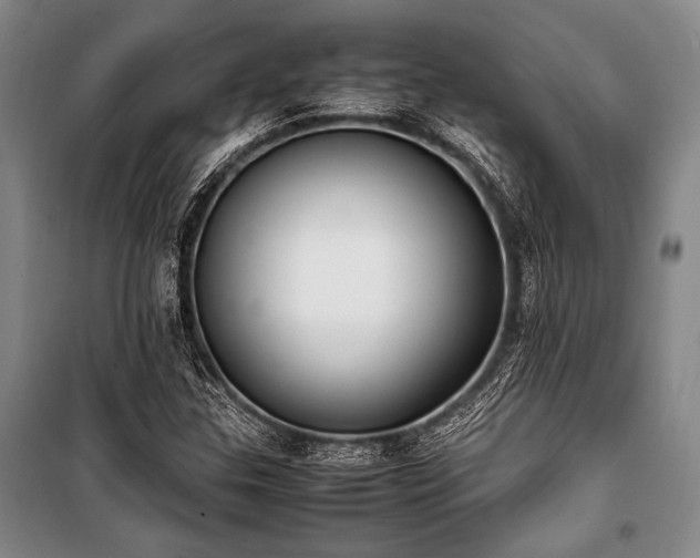 X0000101221307200806271438