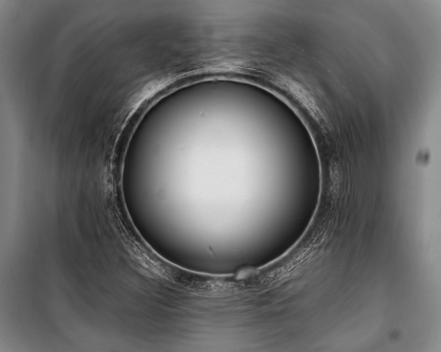 X0000101221308200806271438