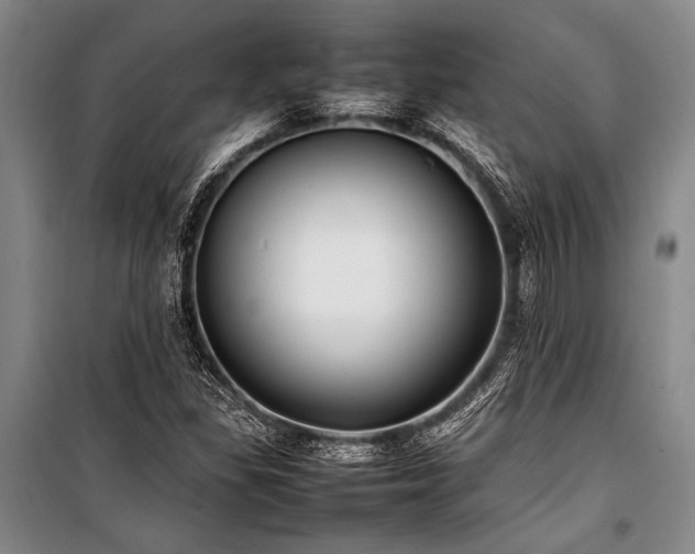 X0000101221309200806271438