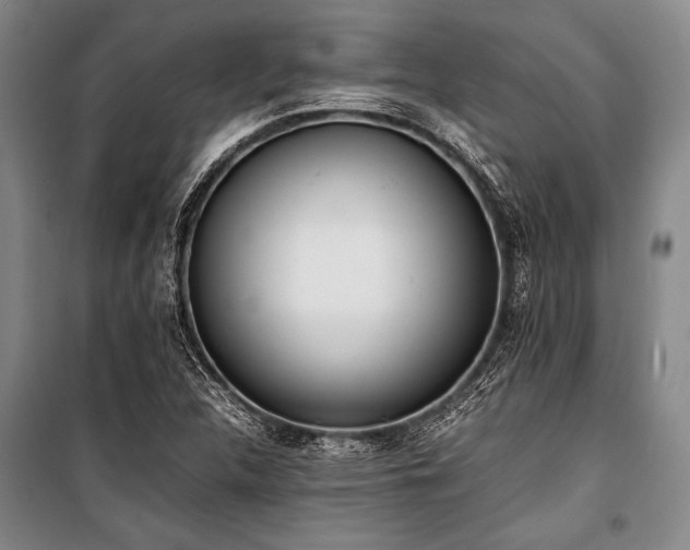 X0000101221312200806271438