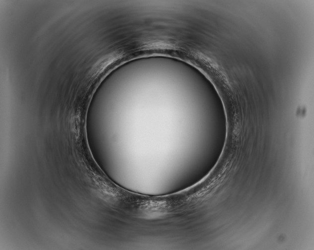 X0000101221313200806271438