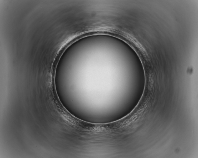 X0000101221316200806271438