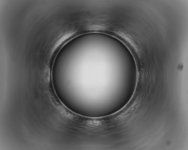 X0000101221317200806271438