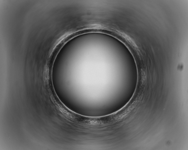 X0000101221318200806271438