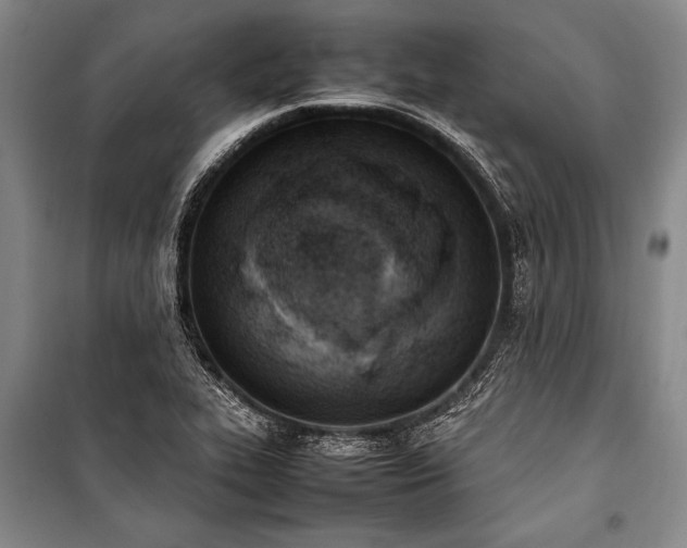 X0000101221319200806271438