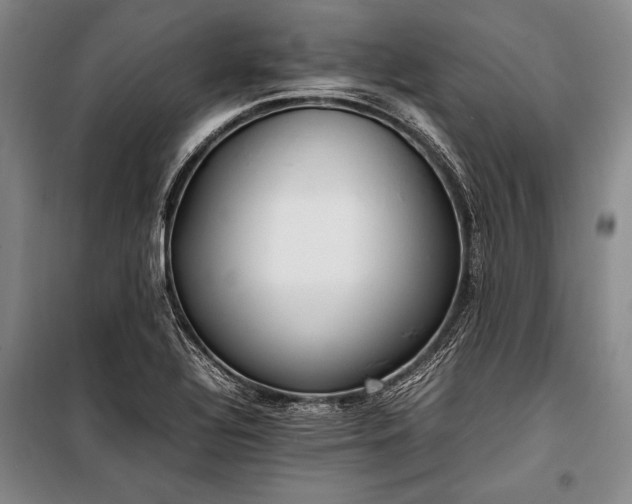 X0000101221320200806271438